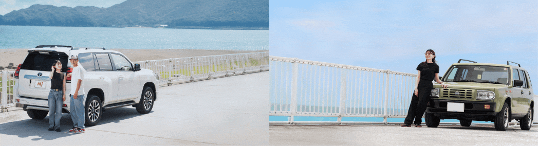高知LP（大）【gif】